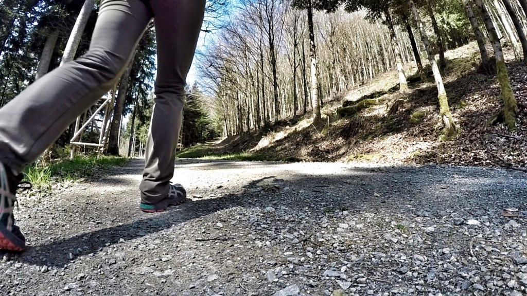 หลักการไม่ทิ้งร่องรอย 7 ประการ (The Leave No Trace Seven&nbsp;Principles)