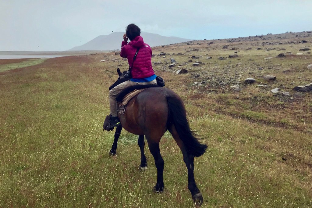 ขี่ม้าเลี้ยงสัตว์ไปเป็นคาวบอยในถิ่นอเมริกาใต้