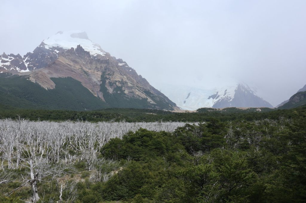 อากาศไม่เป็นใจที่  Laguna Torre