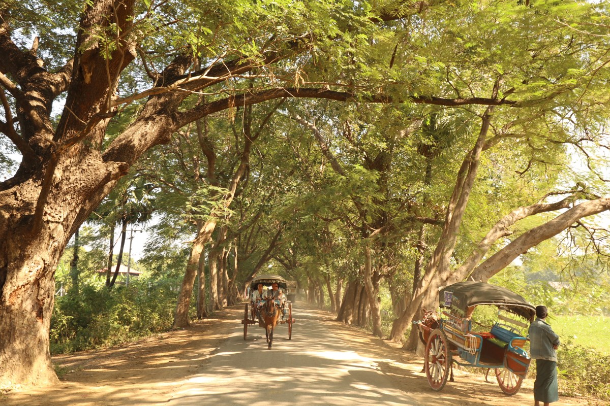 อังวะ รถม้าเทียมเกวียน