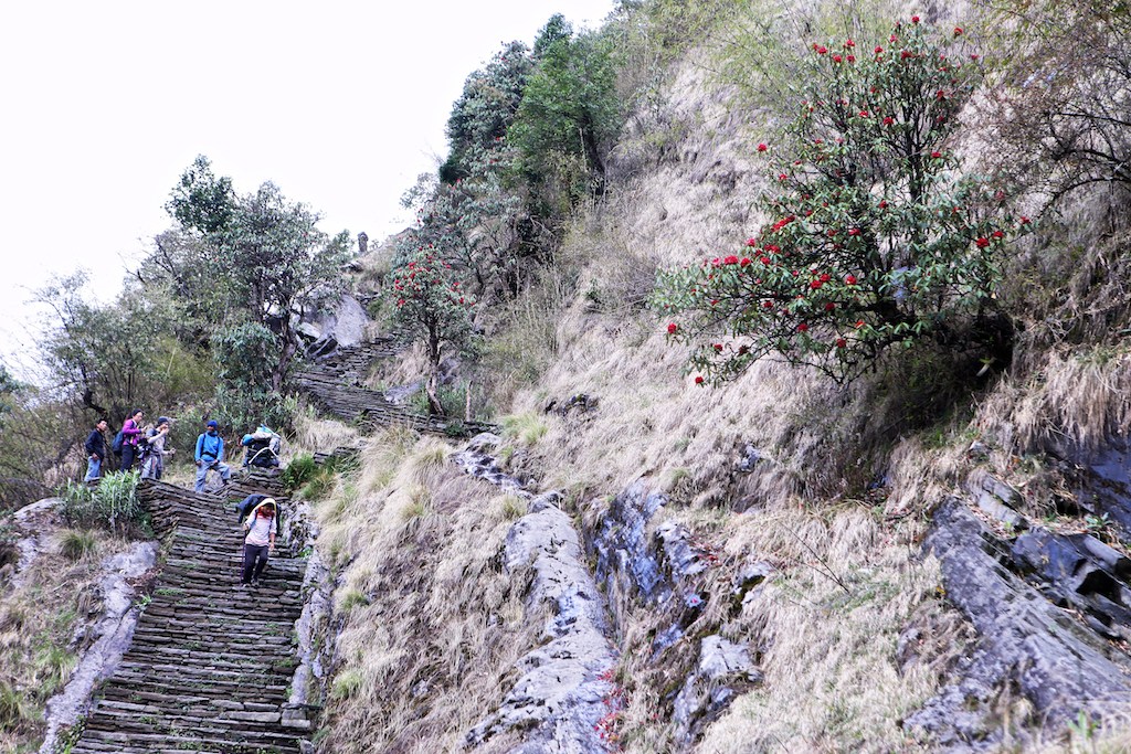 First time full Trekking at ABC, Nepal – Part III (ชีวิตที่รื่นรมย์)