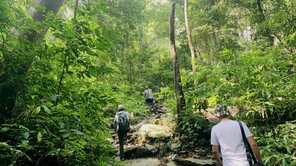 เส้นทางเดินป่าขึ้นยอดเขาหลวงสุโขทัย