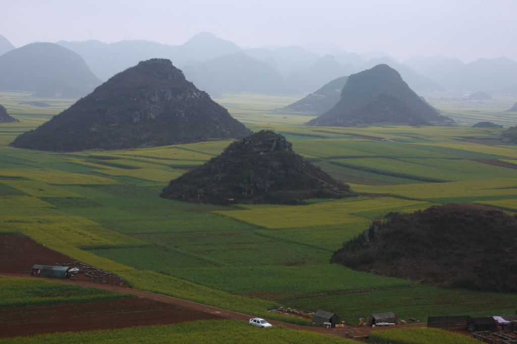 ลั่วผิง: ดินแดนแห่งทุ่งมัสตาร์ด