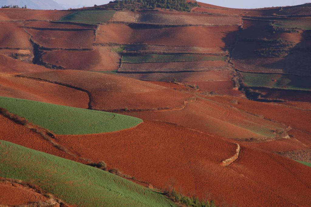 ดินแดนสีแดงแห่งตงชวน