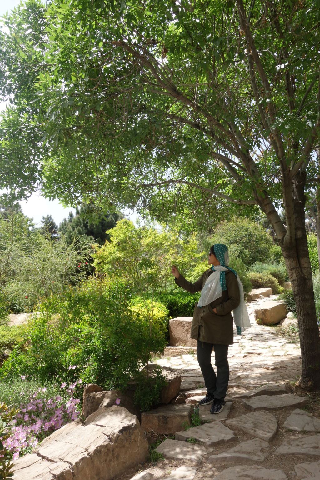 Shiraz เมืองแห่งกวี ดอกไม้ และสวนสวย