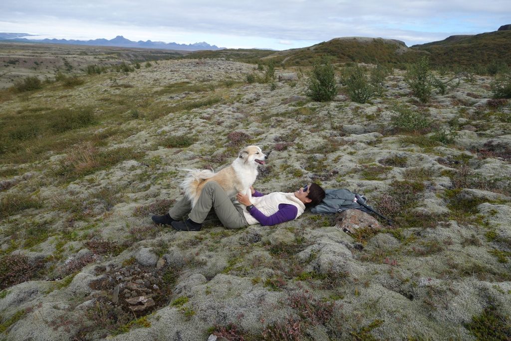 วันที่ 2 : ปิคนิคกลางไอหมอก กับวิวที่เจ้าบ้านแสนภาคภูมิใจ