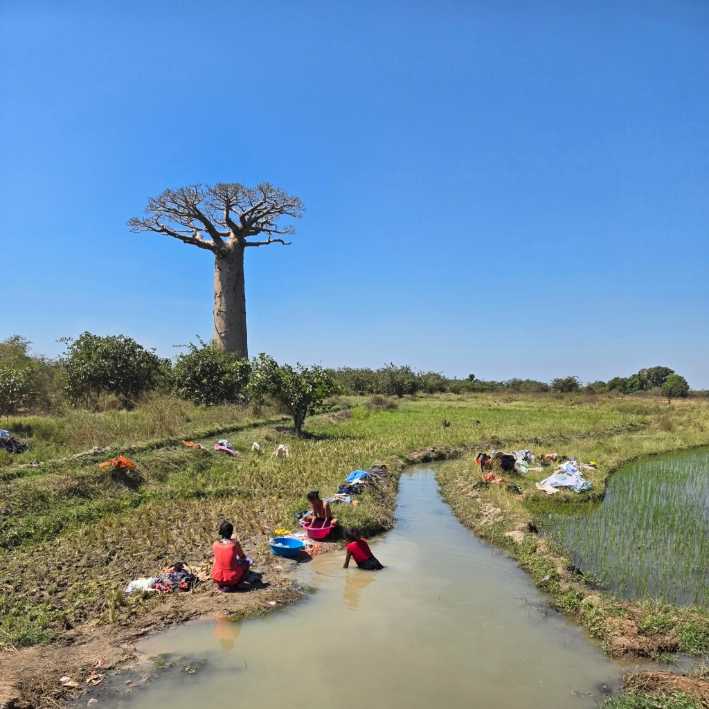 รู้จักชาวมาลากาซี (มาดากัสการ์) ผ่านจานข้าว